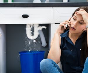 About Plumbers Pros Centreville, MI